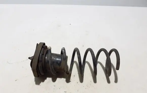 Volvo XC60 Rear coil spring 31304159