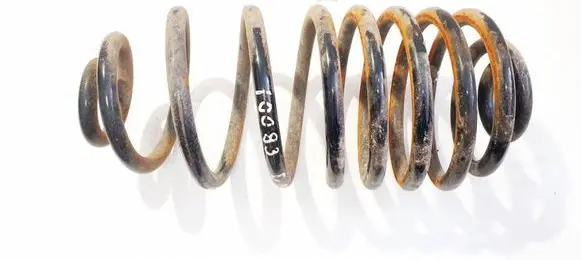 Rear coil spring