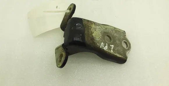 Chevrolet Captiva Rear door lower hinge