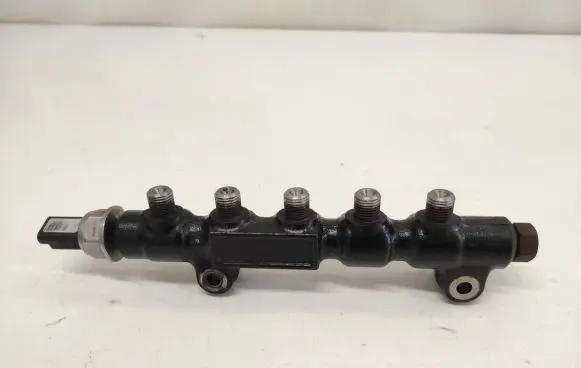 Peugeot 1007 Fuel main line pipe 55PP0602 0425405685