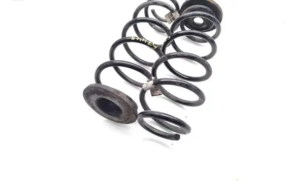 Rear coil spring