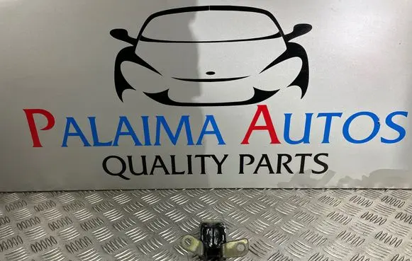Opel Astra K Rear door lower hinge P16268