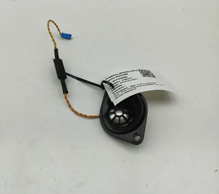 Front door speaker