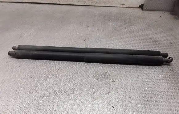 Opel Insignia A Tailgate/trunk strut/damper