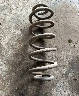Rear coil spring