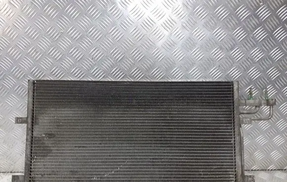 Land Rover Range Rover Sport L320 Air conditioning (A/C) radiator (interior) 3M5H-8C607-UC