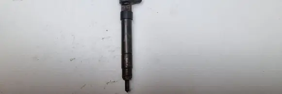 Ford Edge II Fuel injector 28319898