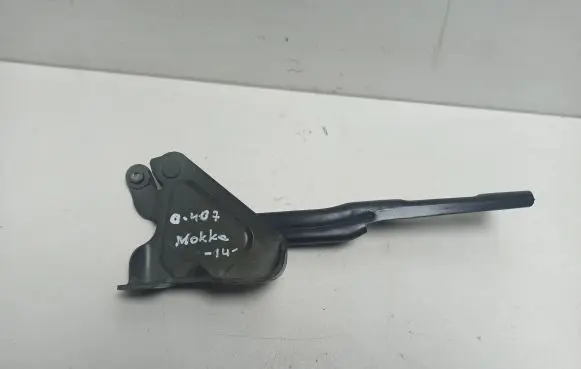 Opel Mokka Engine bonnet/hood hinges 95421581
