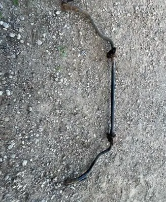 Rear anti-roll bar/sway bar