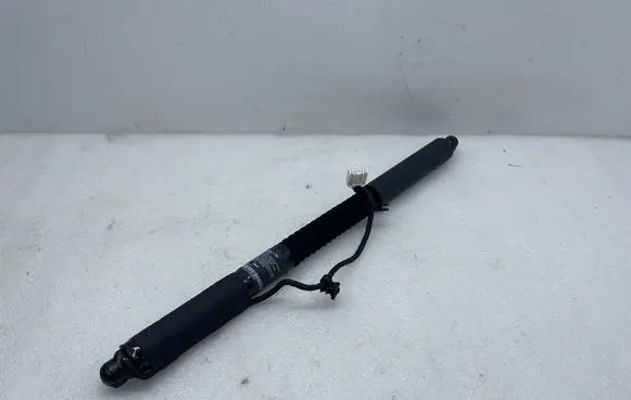 Tesla Model X Rear door soft close latching motor 106344000D 210876414H