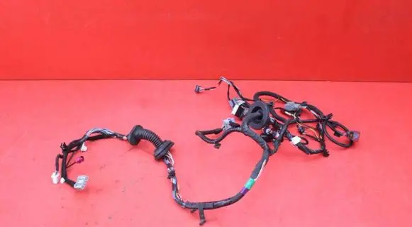 Tesla Model S Other wiring loom 2004419-00-B