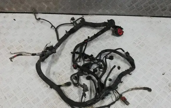 Ford Ecosport Engine installation wiring loom DV2T-12A522-BAC A12706114 12706121