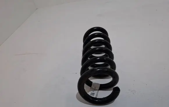 Ford Mustang Mach-E Rear coil spring LK9C5560ENC