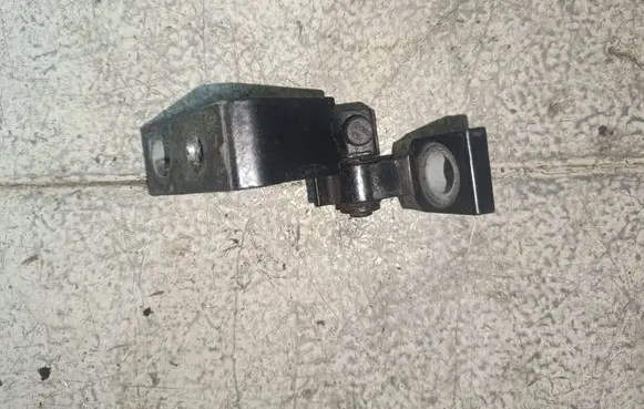 Rear door lower hinge
