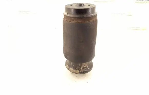 Mercedes-Benz GLS X166 Shock absorber/damper/air suspension 1643200225 1643200625