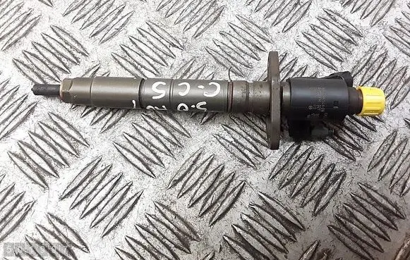 Citroen C5 Fuel injector 0445116013 9x2q9k546db