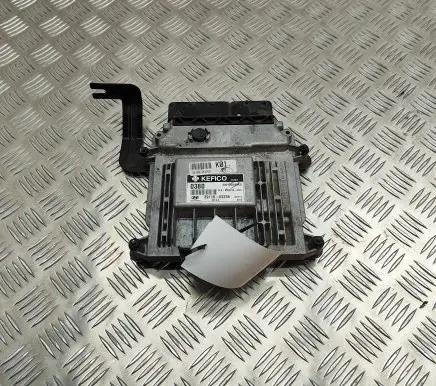 Hyundai i20 (PB PBT) Engine control unit/module 3911003256