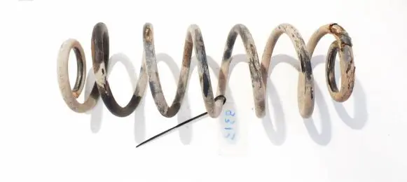 Volkswagen Golf V Rear coil spring
