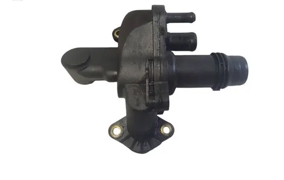 Thermostat/thermostat housing