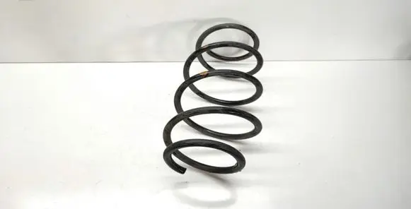 Front coil spring