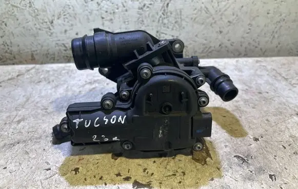 Hyundai Tucson IV NX4 EGR thermostat F62300404 256002M210