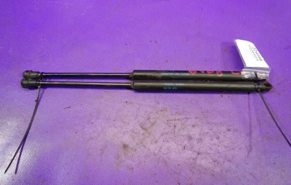 Tailgate strut