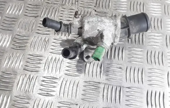 Thermostat/thermostat housing