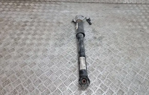 Rear shock absorber/damper