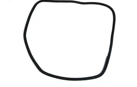 Audi A4 S4 B6 8E 8H Front door rubber seal 8E0831721B