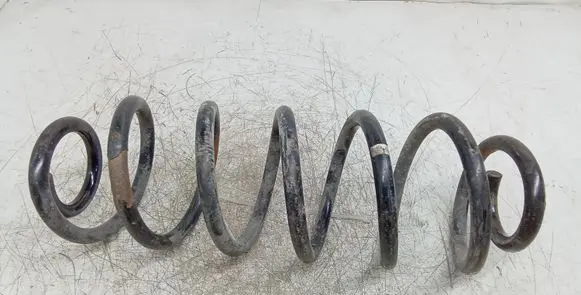 Volkswagen Golf V Rear coil spring