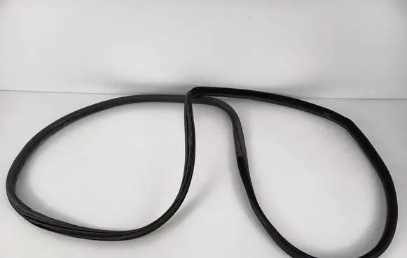 BMW X5 E70 Front door rubber seal 7207221