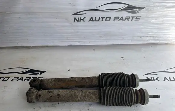 BMW X5 E53 Rear shock absorber with coil spring 
