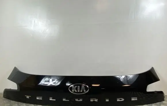 KIA Telluride Trunk door license plate light bar 87311S9000