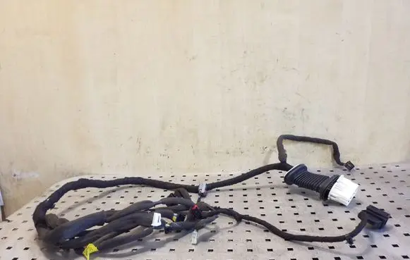 Opel Antara Front door wiring loom 95491034