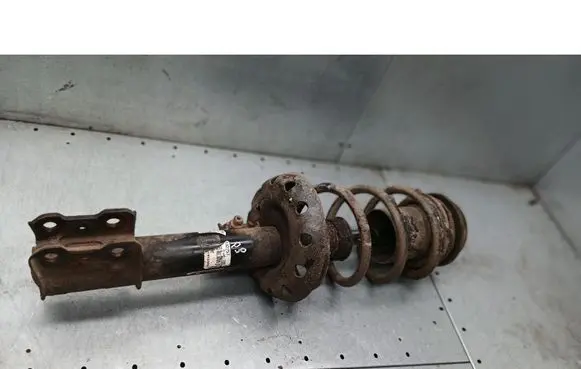 Opel Astra G Front shock absorber/damper 22171136