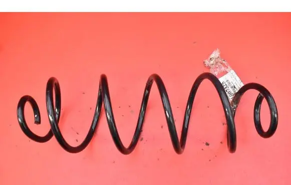 Rear coil spring