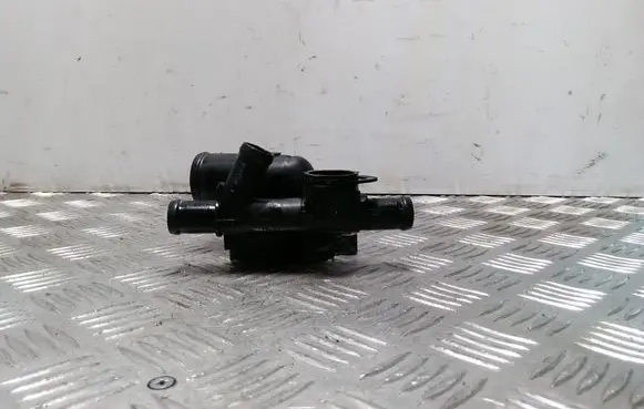 Thermostat/thermostat housing