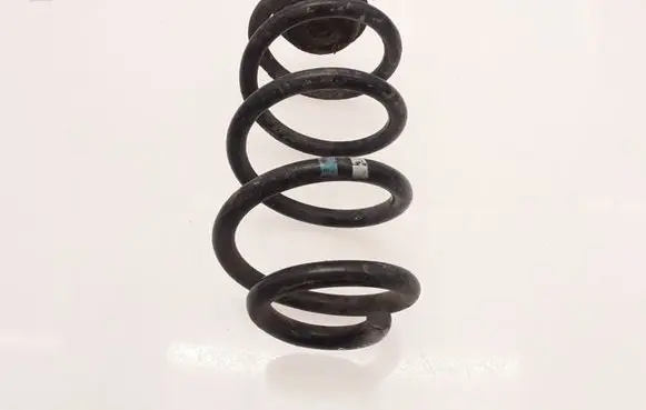 Nissan Qashqai Rear coil spring