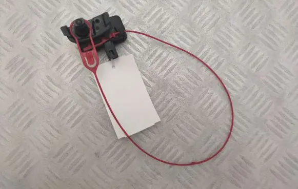 Fuel tank cap lock motor