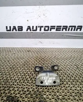 KIA Ceed Front door lower hinge 794203K000