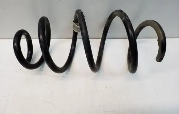 Front coil spring
