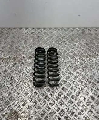 Dacia Spring Rear coil spring 550200356R