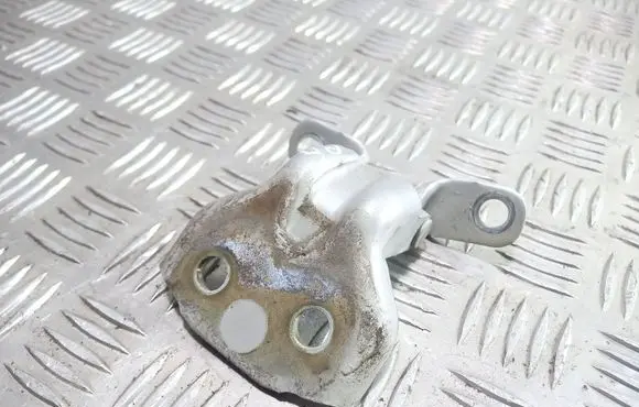KIA Sorento Front door lower hinge 