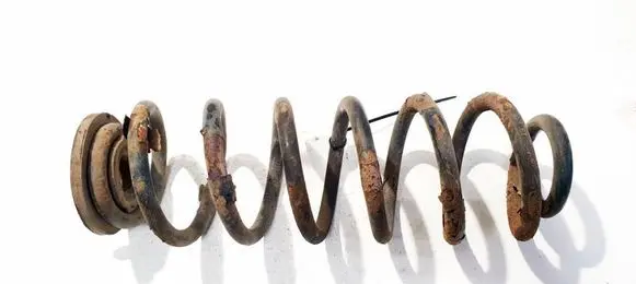 Volkswagen Tiguan Rear coil spring 