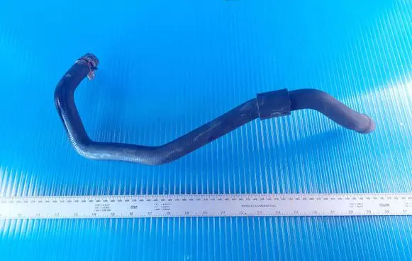 Ford Focus Engine coolant pipe/hose
