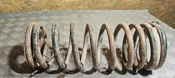 Land Rover Discovery Rear coil spring