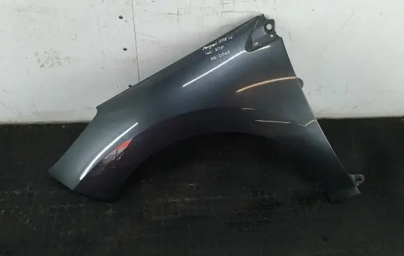 Fender