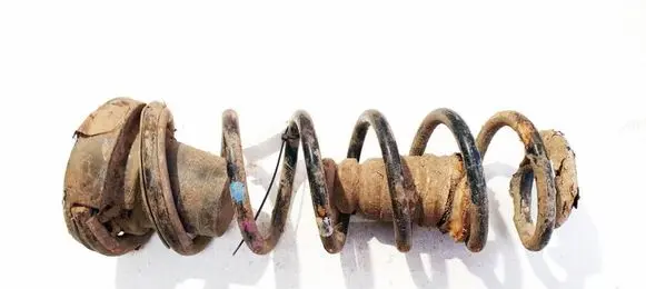 Peugeot Partner Rear coil spring