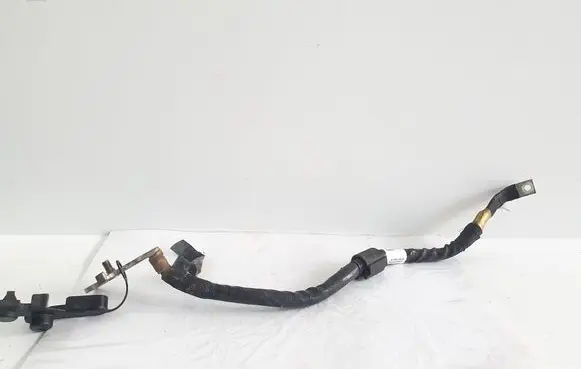 Porsche Panamera (971) Wires (generator/alternator) 971971793M