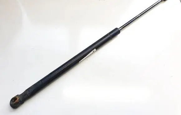Tailgate/trunk strut/damper